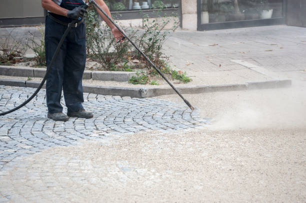 Animal Enclosure Cleaning in Rehobeth, AL